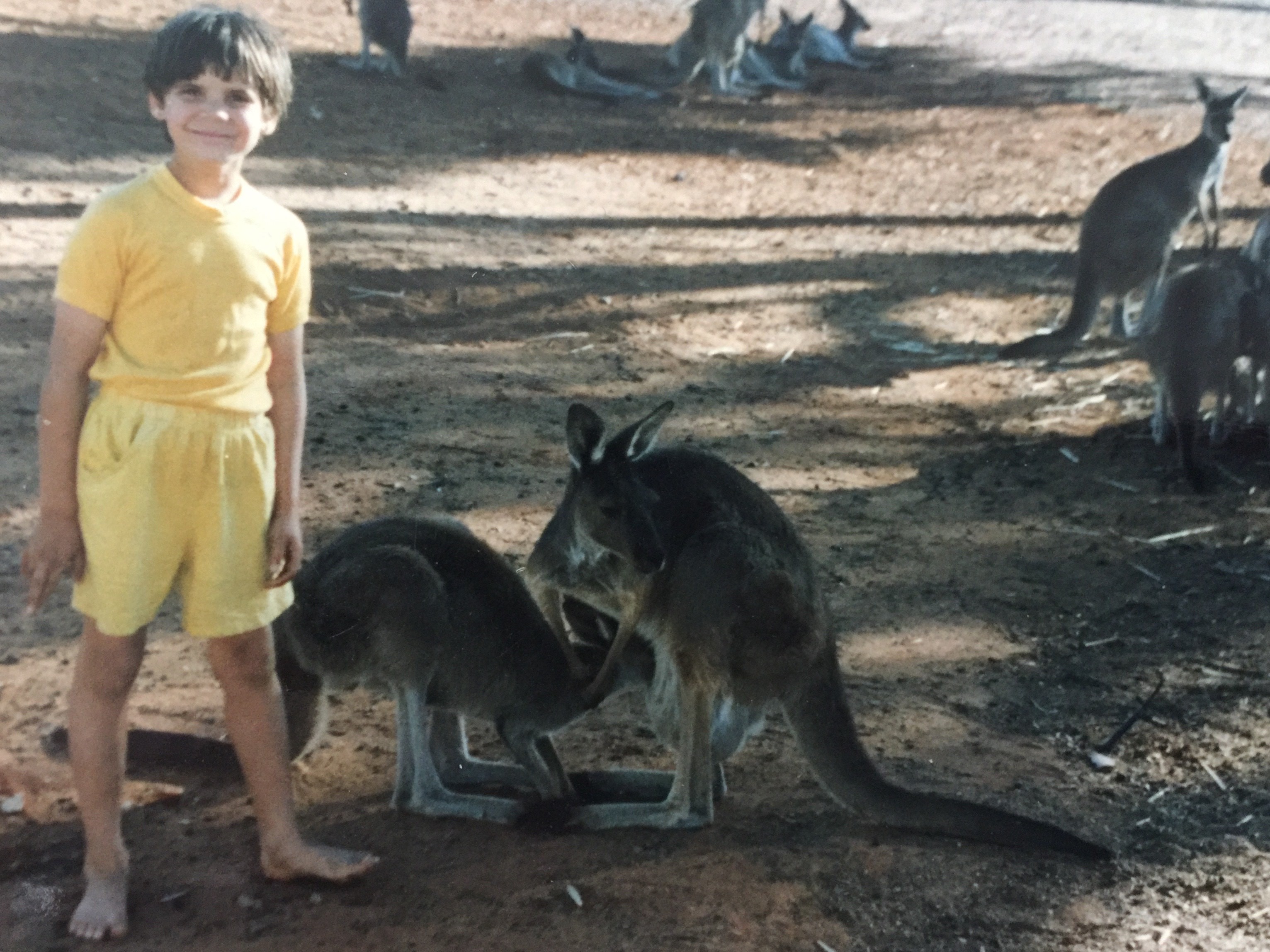 Lydia Williams and her kangaroos Lydia Williams and her kangaroos