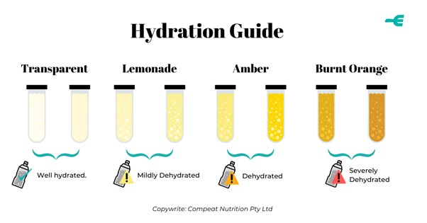 Hydration 03 Hydration 03