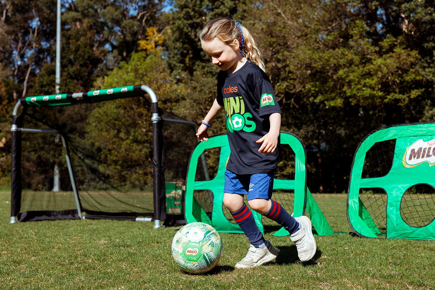 MiniRoos