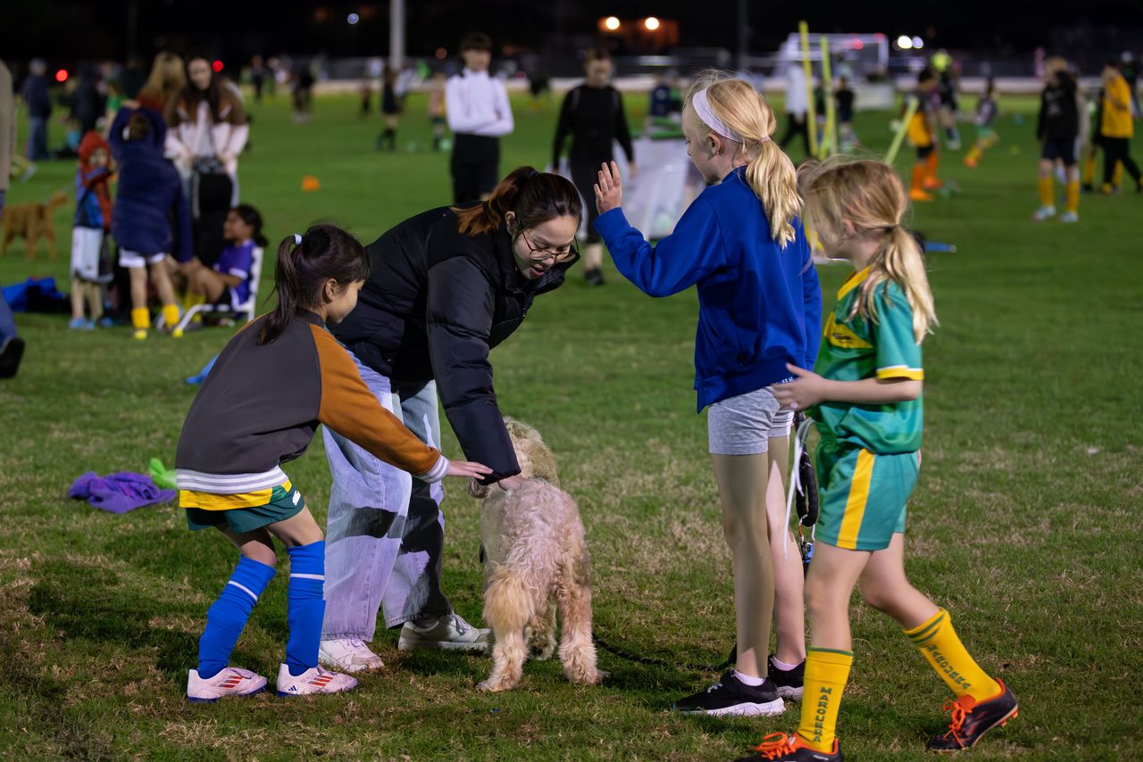 A training night at Maroubra United (photo: Football Australia)