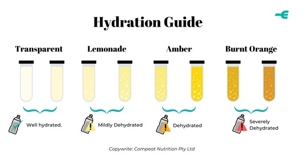 Hydration 03
