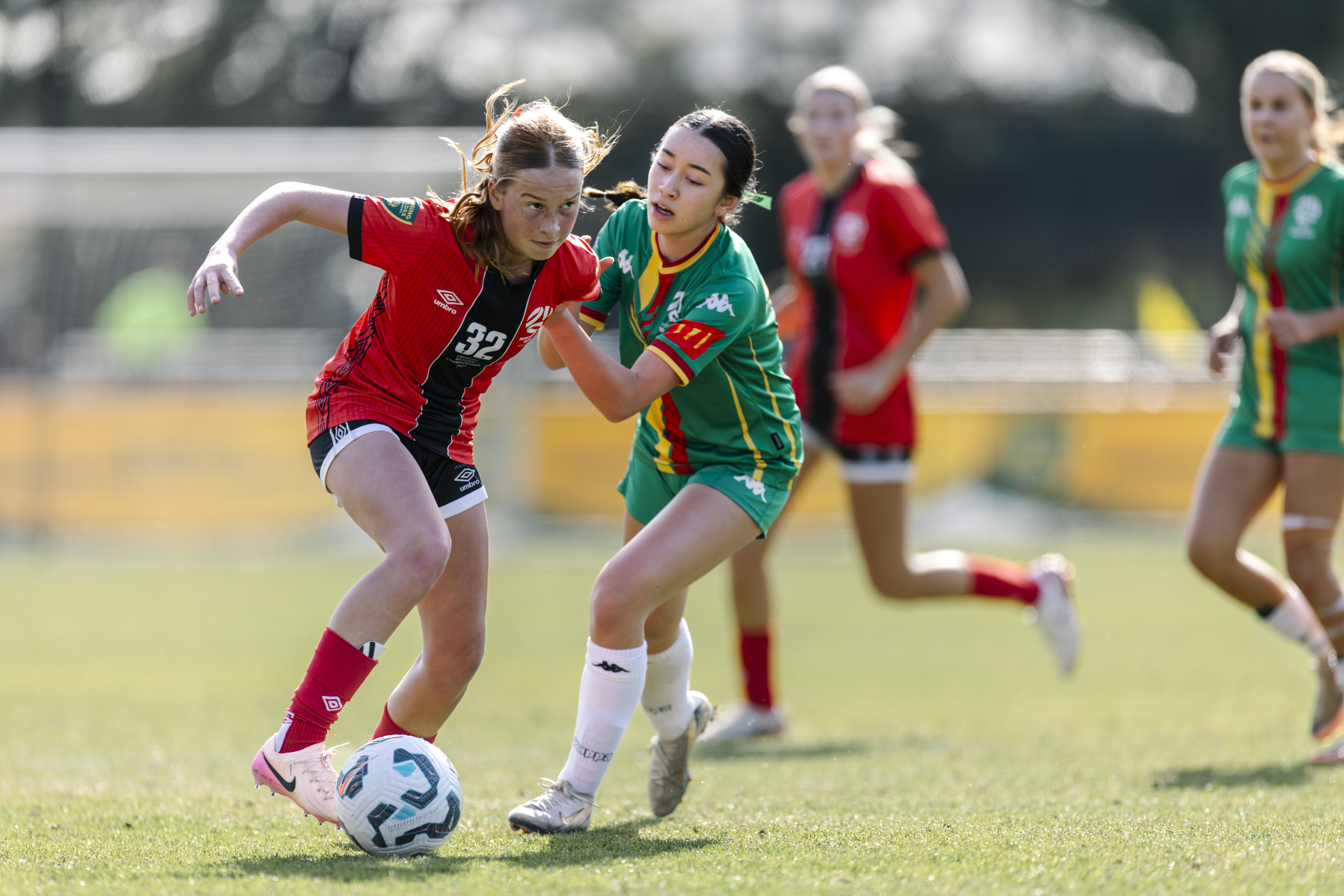 Northern NSW player takes on Tasmaina